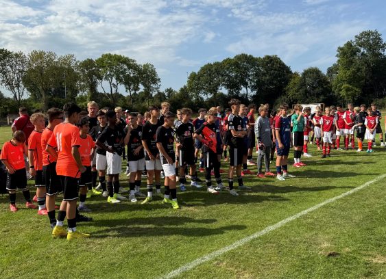 {{brizy_dc_image_alt imageSrc=